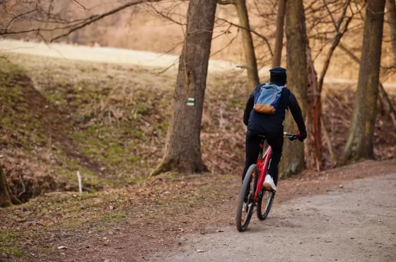 Rutas personalizadas para peregrinos en bicicleta